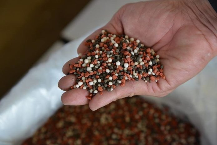 Manos sosteniendo fertilizante granulado